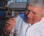Peter Molan holding a piece of Mānuka. 
