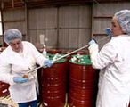 Honey testing
