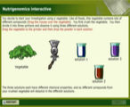 Nutrigenomics Interactive. 