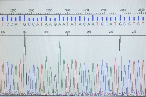 DNA sequencing results