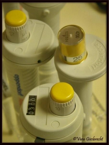 Eppendorf pipettes, which are used in the lab for dispensing small volumes. 